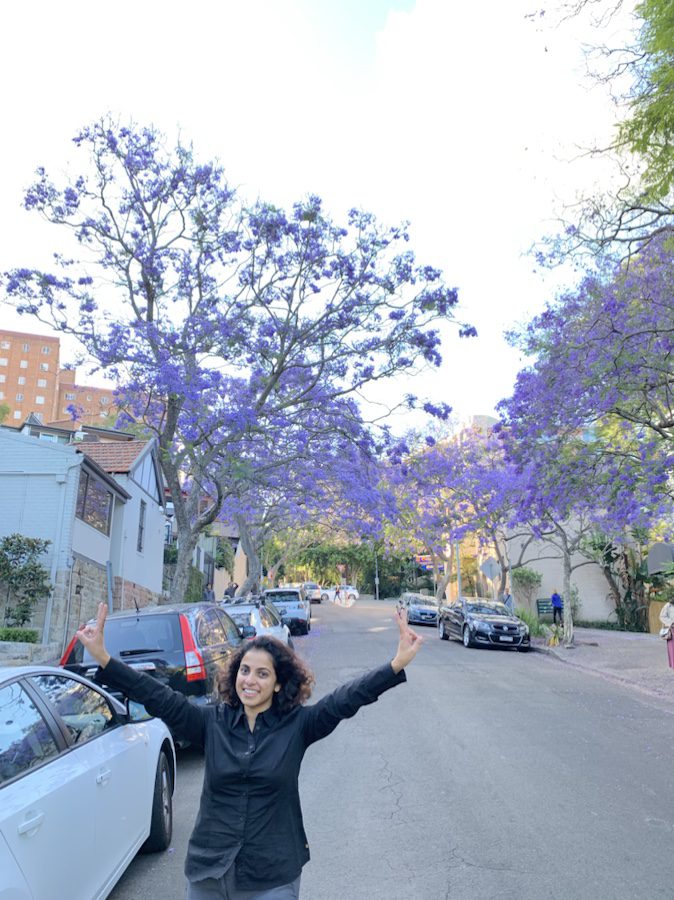 Best places to find Jacarandas in Sydney