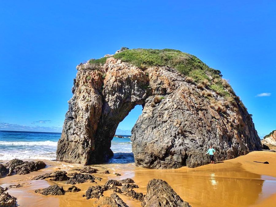 Travel Guide to Narooma & Bermagui