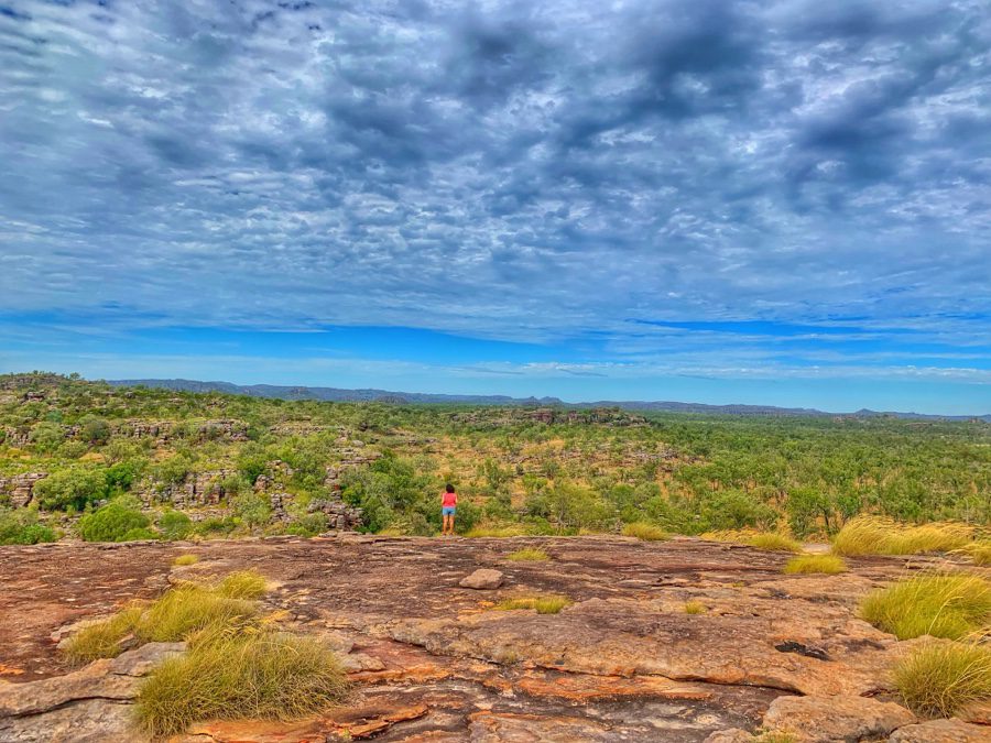 day trips from Darwin