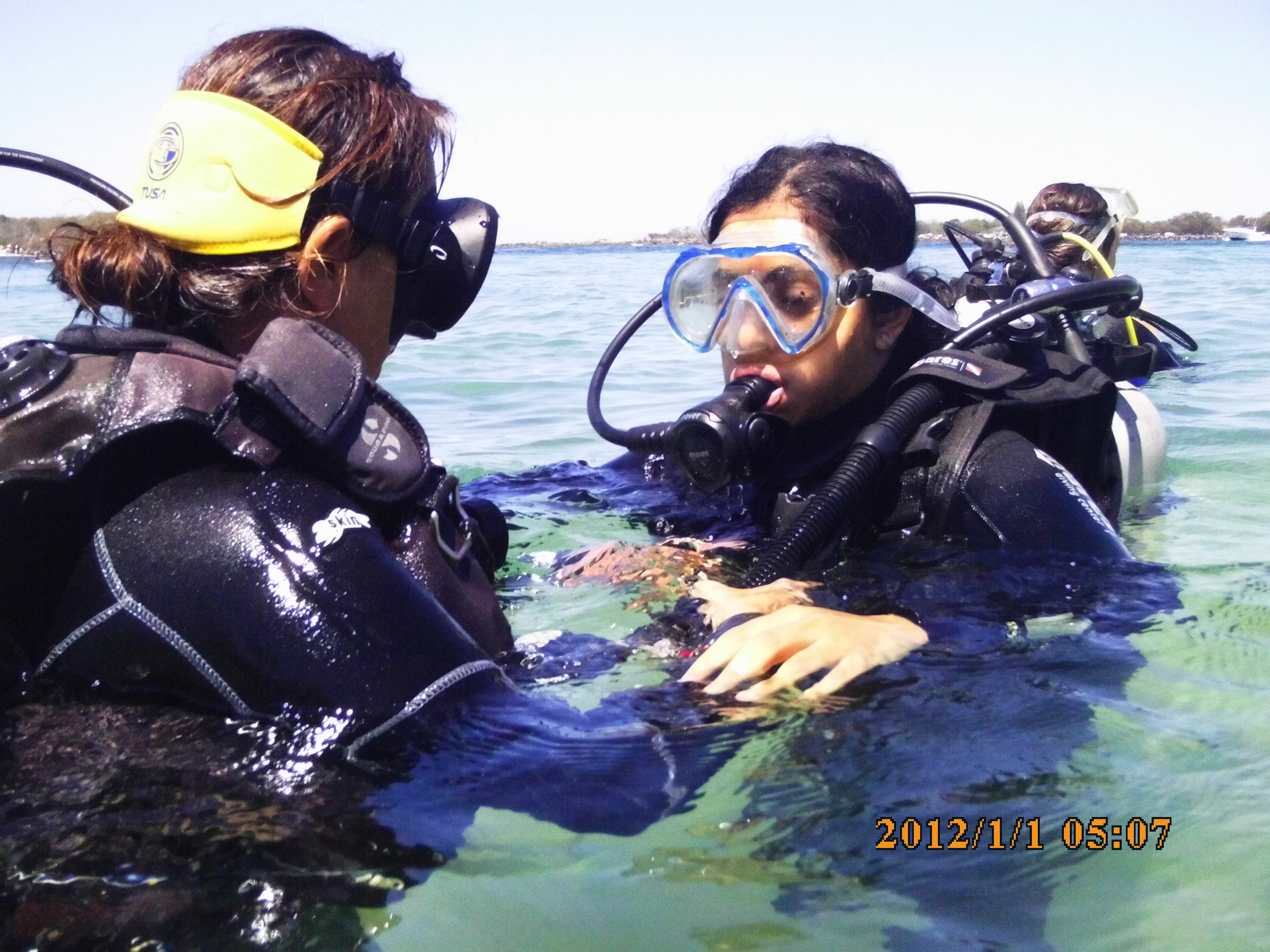 Queensland Scuba Diving Company in Gold Coast