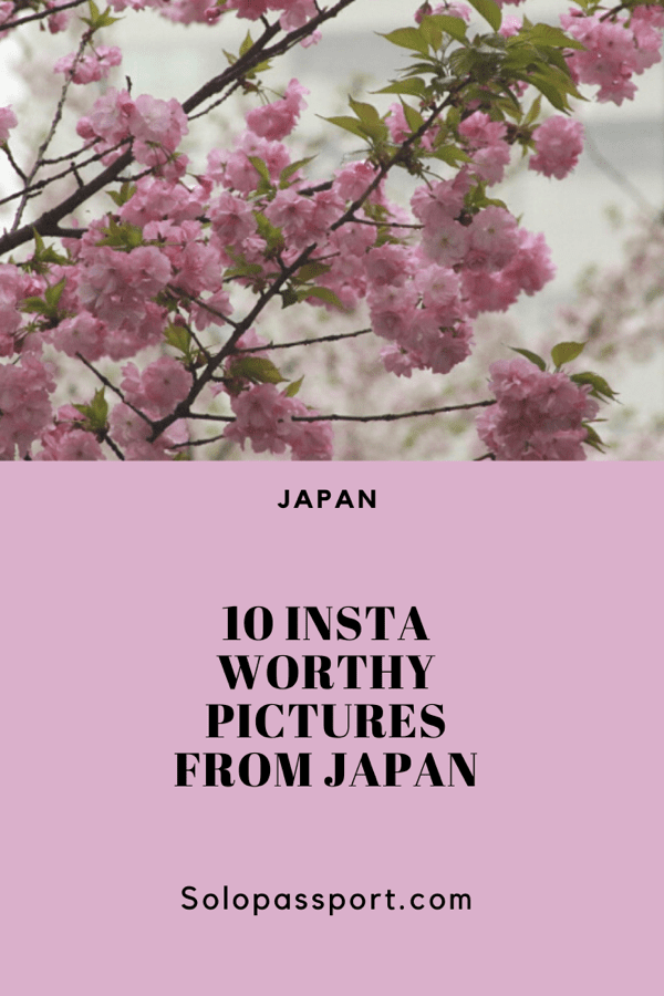 10 Instagram worthy pictures from Japan
