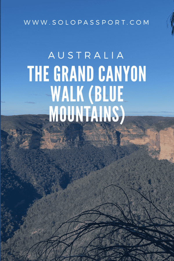 The Grand Canyon Walk (Blue Mountains)