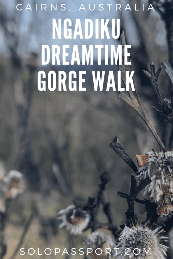 Ngadiku Dreamtime Gorge walk – Must-do from Cairns