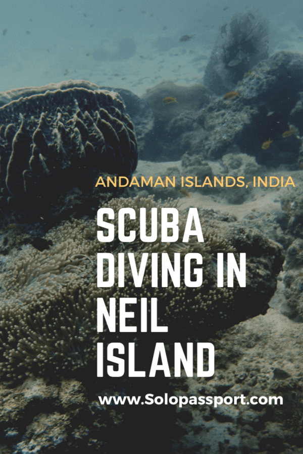 Scuba diving in Neil Island | Andaman Islands (India)