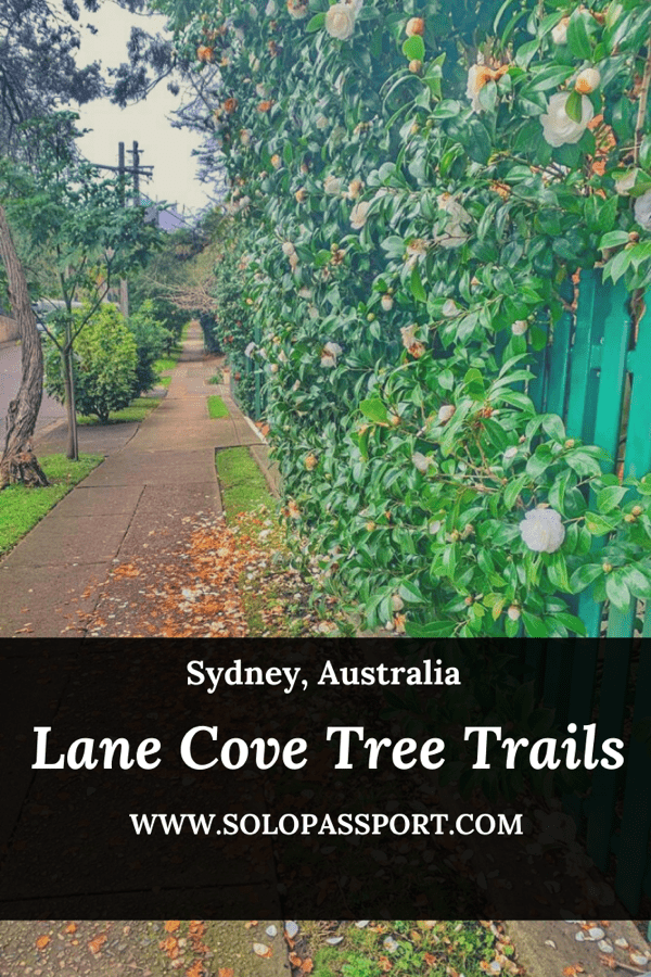 PIN for later reference - Lane Cove Tree Trails