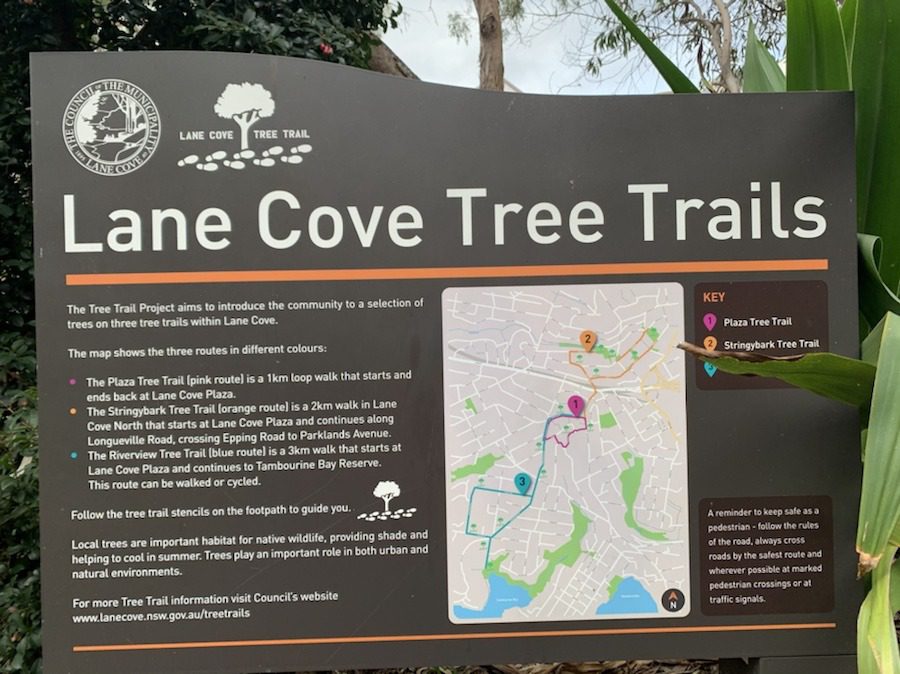 Lane Cove Tree Trails