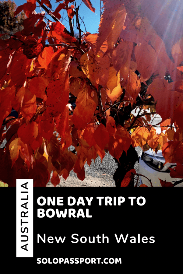 PIN for later reference - One day trip to Bowral