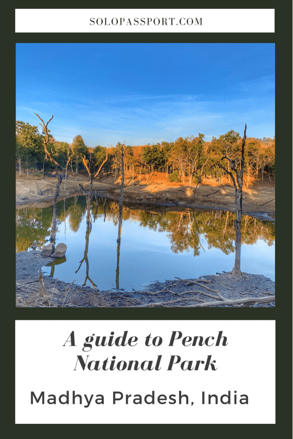 PIN for later reference - A guide to Pench National Park
