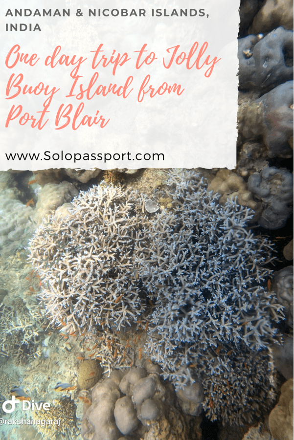PIN for later reference - One day trip to Jolly Buoy Island from Port Blair