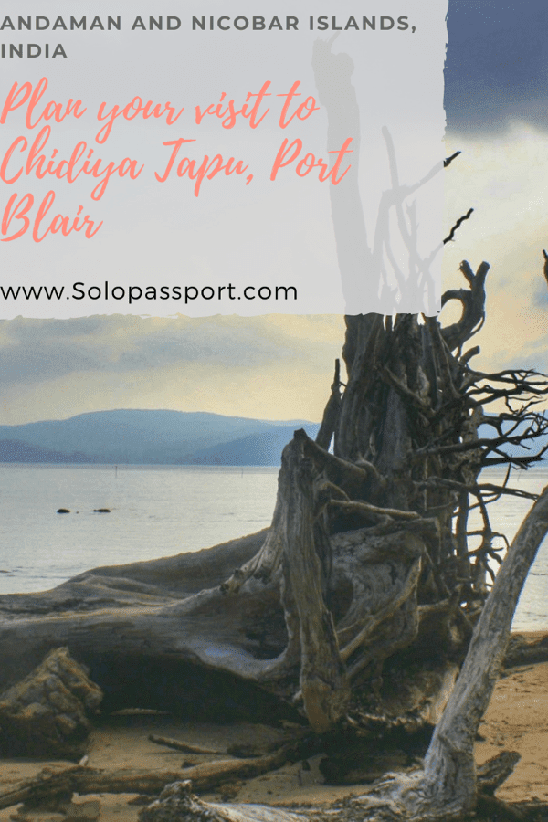 PIN for later reference - Plan your visit to Chidiya Tapu from Port Blair