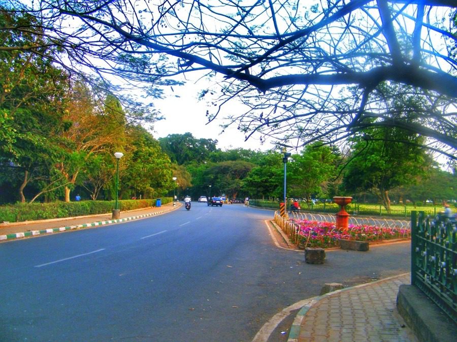 Cubbon Park, Bangalore