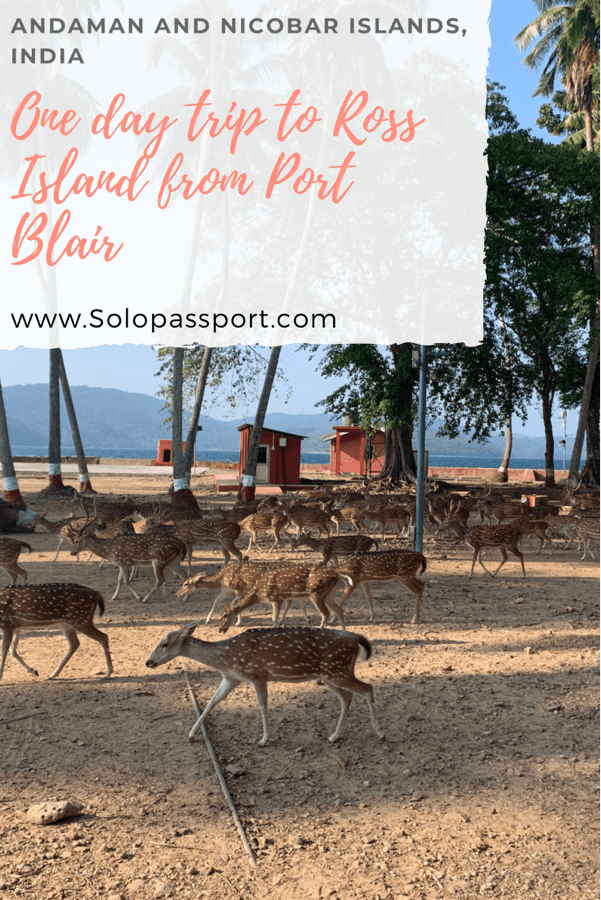 PIN for later reference - One day trip to Ross island from Port Blair