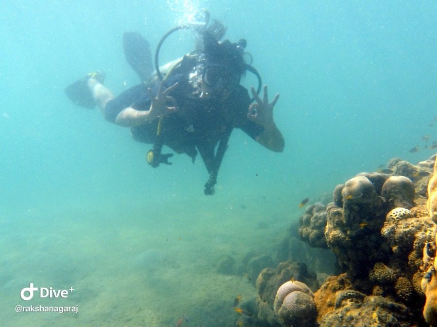 Scuba diving at North Bay island, Andaman and Nicobar islands