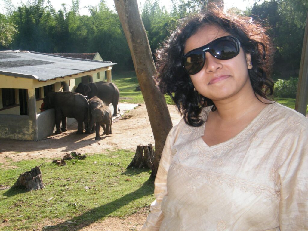 Bandipur National Park - Elephants