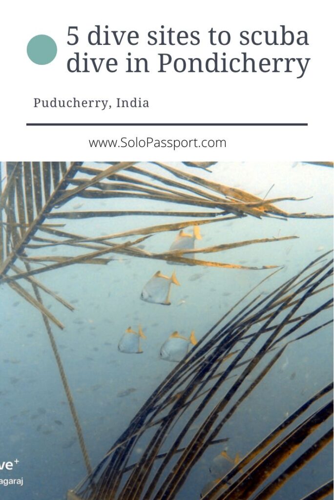 PIN for later reference - 5 best dive sites to scuba dive in Pondicherry
