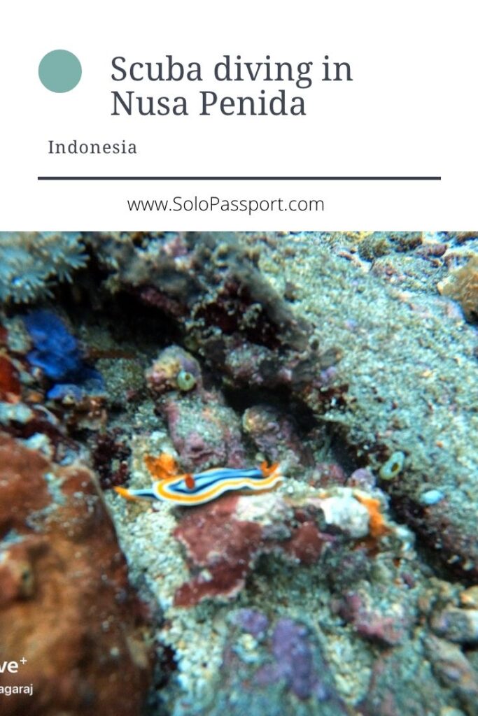 PIN for later reference - Scuba diving in Nusa Penida