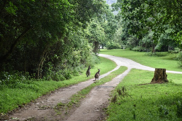 Along the path - Cedarvale Camping Trip