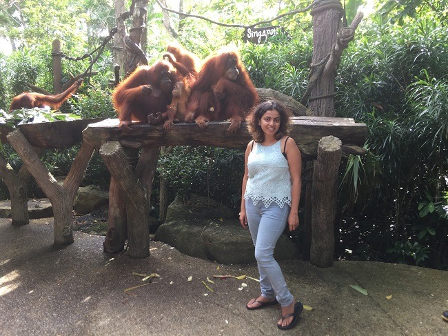 Breakfast with Orangutans
