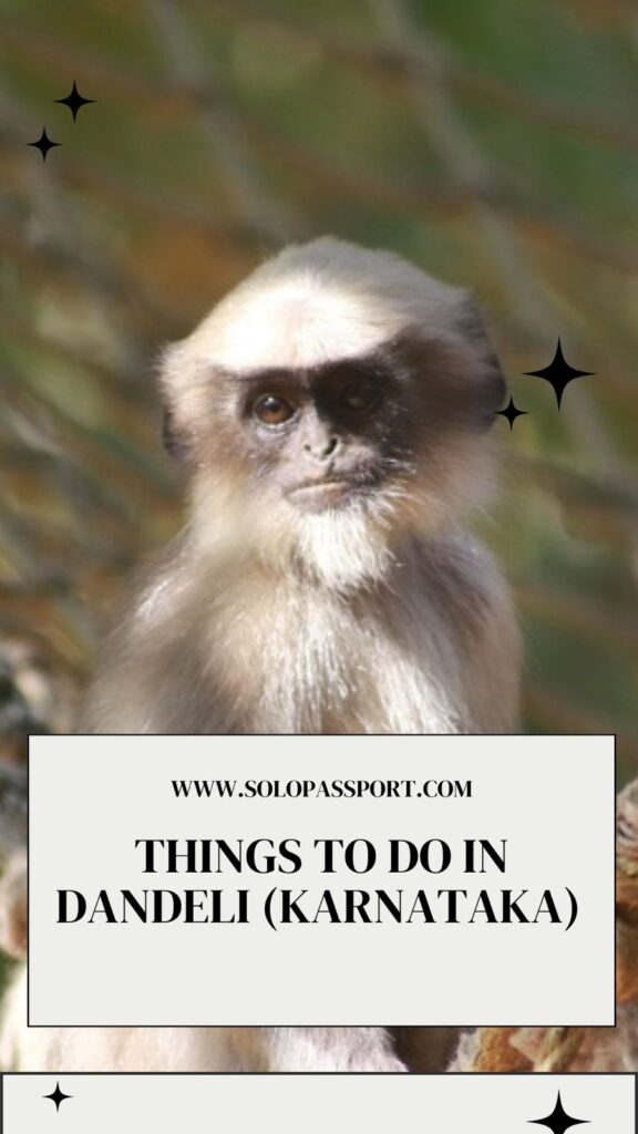 PIN for later reference - Things to do in Dandeli