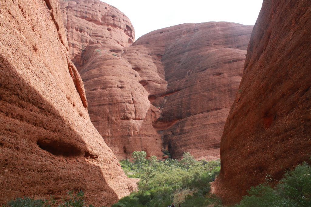 Hike the Valley of the Winds in Kata Tjuta (2024)