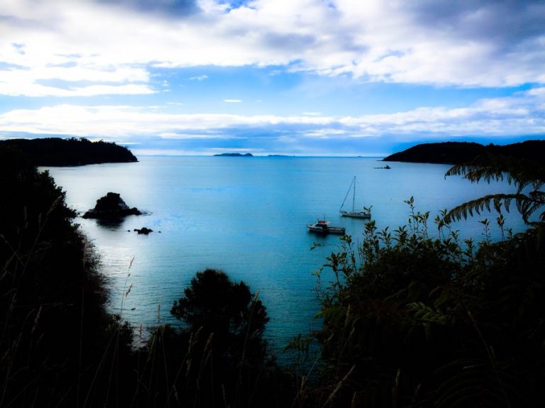 Travel to Stewart Island: Crafting Your Perfect Island Getaway (2024)