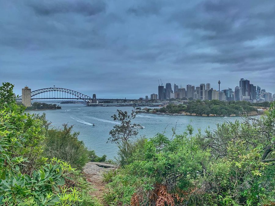 Waverton: Balls Head Reserve walk (Sydney)