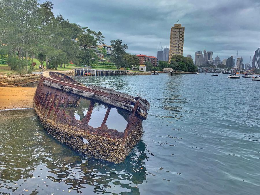 Waverton: Balls Head Reserve walk (Sydney)