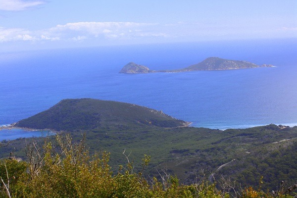 View of the ocean from Mt Bishop