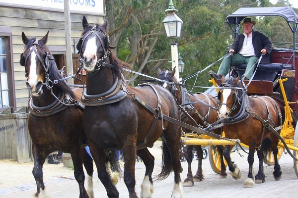 Carriage at Sovereign Hill