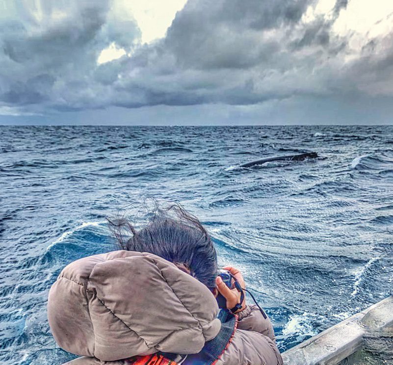 Whale watching in Sydney