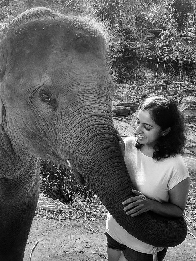 Chiang Mai elephant camp