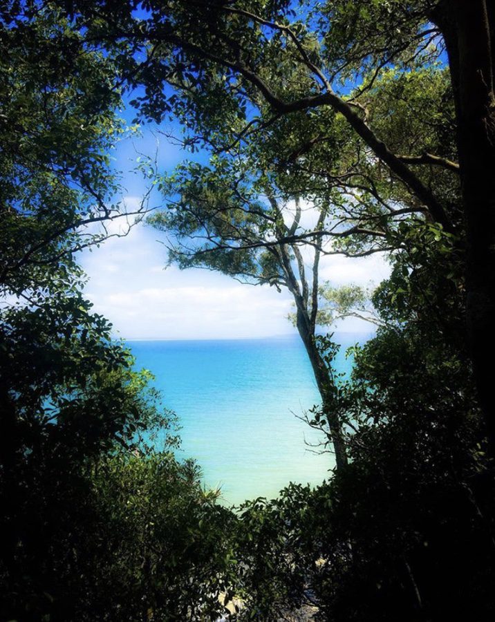 Noosa National Park