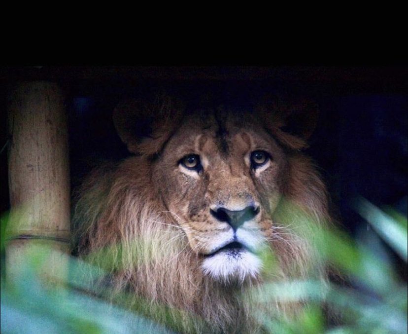 Taronga Zoo