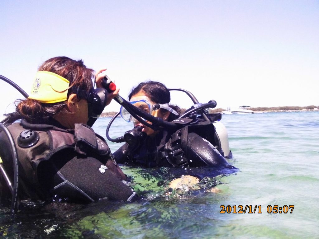 Queensland Scuba Diving Company in Gold Coast