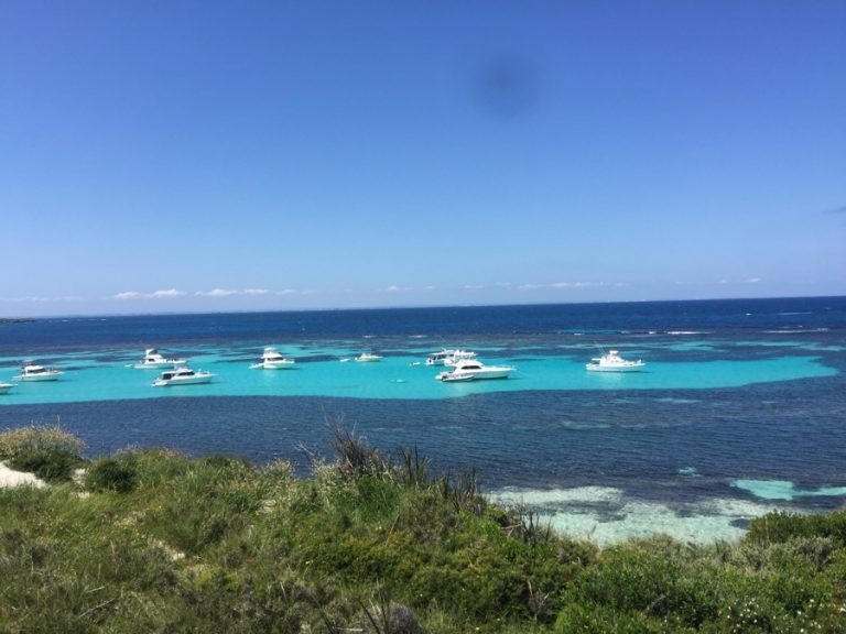 One day trip to Rottnest Island from Perth