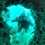 Sesimbra scuba diving - Europe Travel Planner