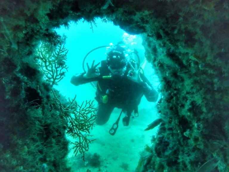 Sesimbra scuba diving - Europe Travel Planner