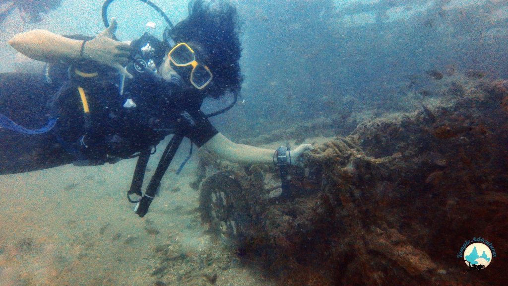 Divers at Temple Reef | Pondicherry