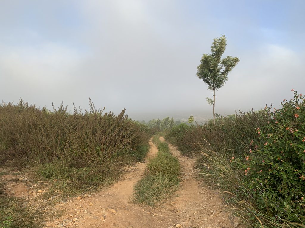 Step Into the Ancient: Kaurava Kunda Trek Explained (2024)