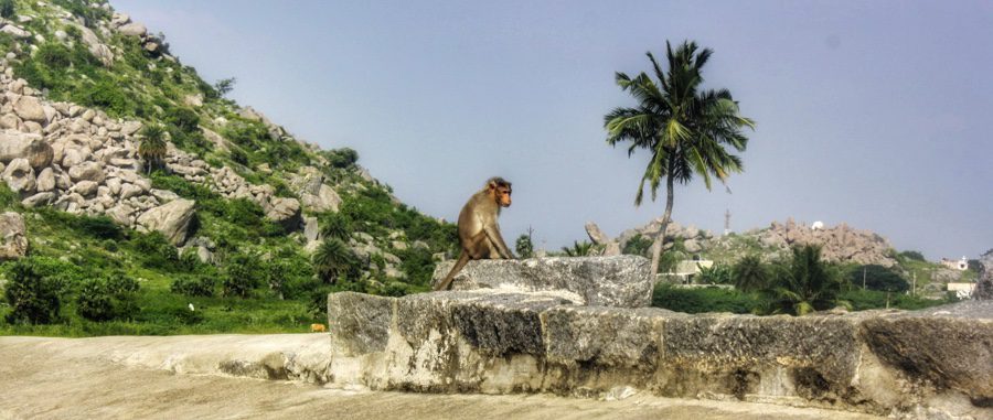 Gingee/Senji Fort (Tamil Nadu)