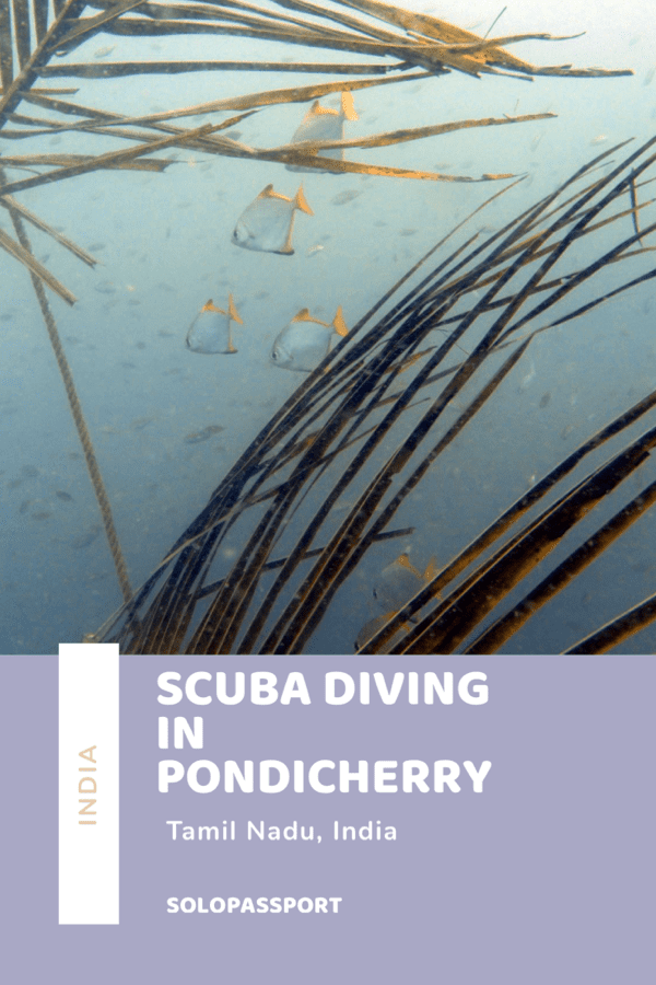 Scuba diving in Pondicherry