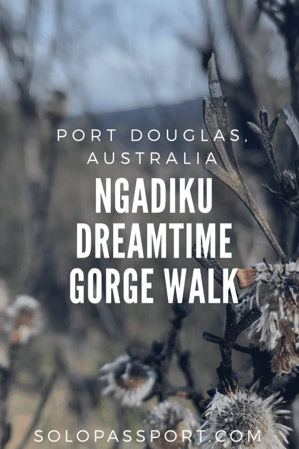 Ngadiku Dreamtime Gorge walk – Must-do from Cairns