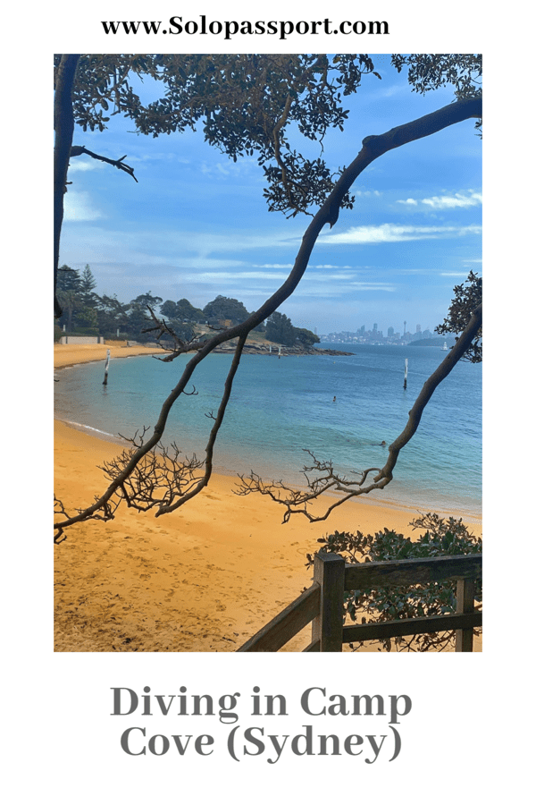 PIN for later reference - Diving at Camp Cove Beach, Sydney
