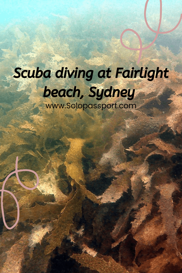 PIN for later reference - Scuba Diving at Fairlight Beach Sydney