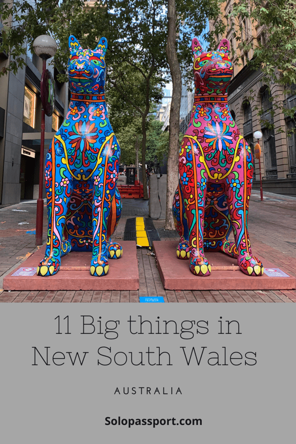 PIN for later reference - 11 Big things in NSW