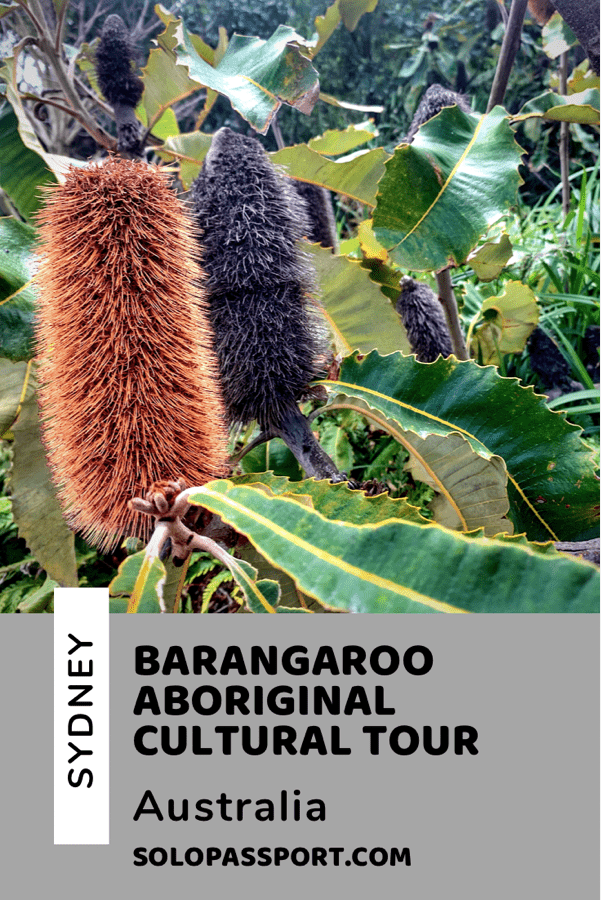 Barangaroo Cultural Tour