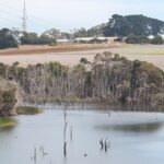 Road Trip - North Coast of Tasmania