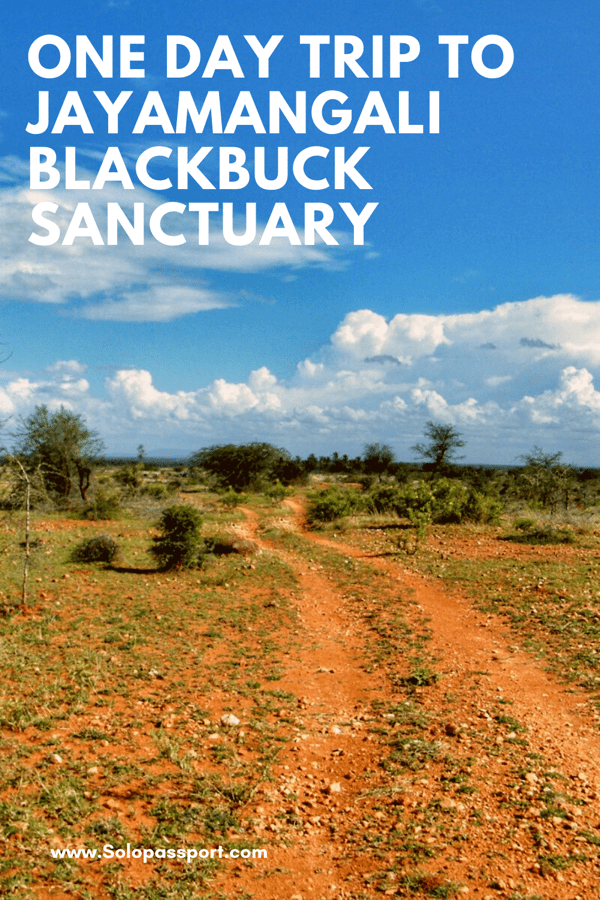 PIN for later reference - One day trip to Jayamangali blackbuck sanctuary