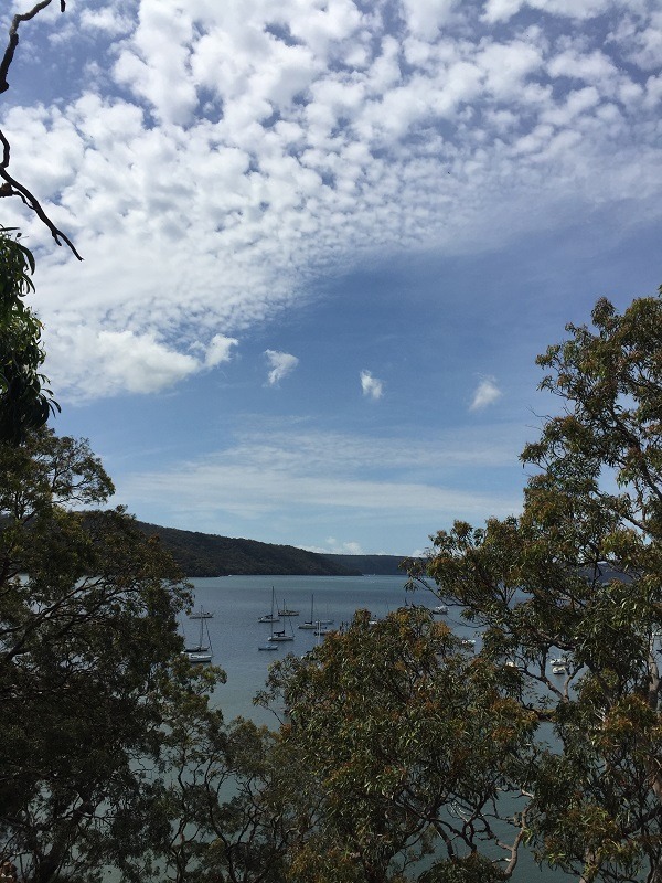 Dangar Island Views