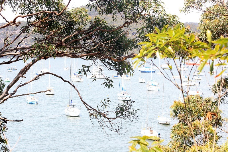 View from Dangar Island